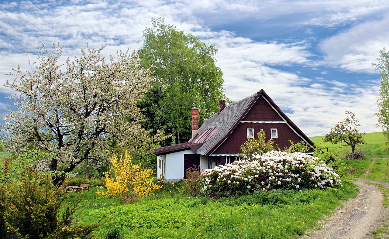 Jak sprawić, aby dom i ogród zyskały na wiosnę nowe życie?