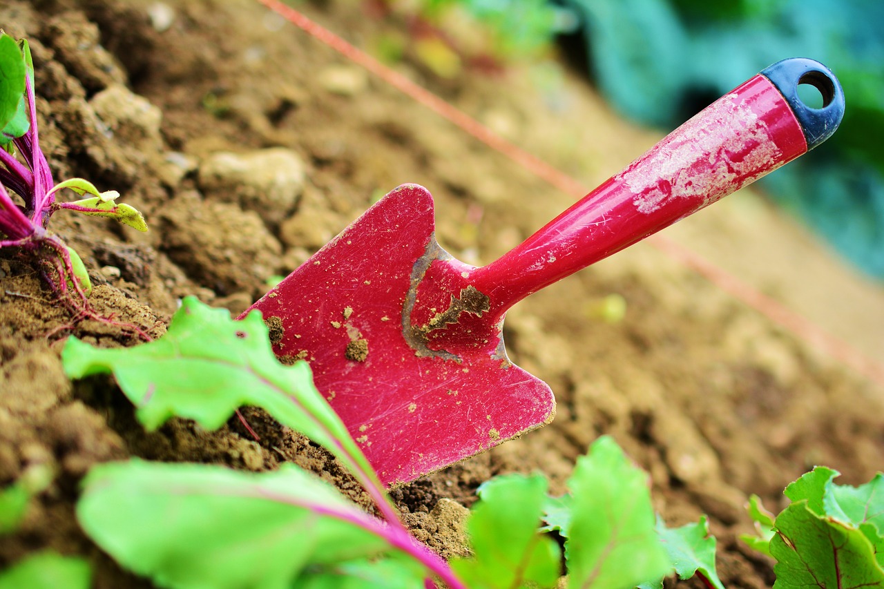 Profesjonalne ogrodnicze usługi- na czym polega praca ogrodników?