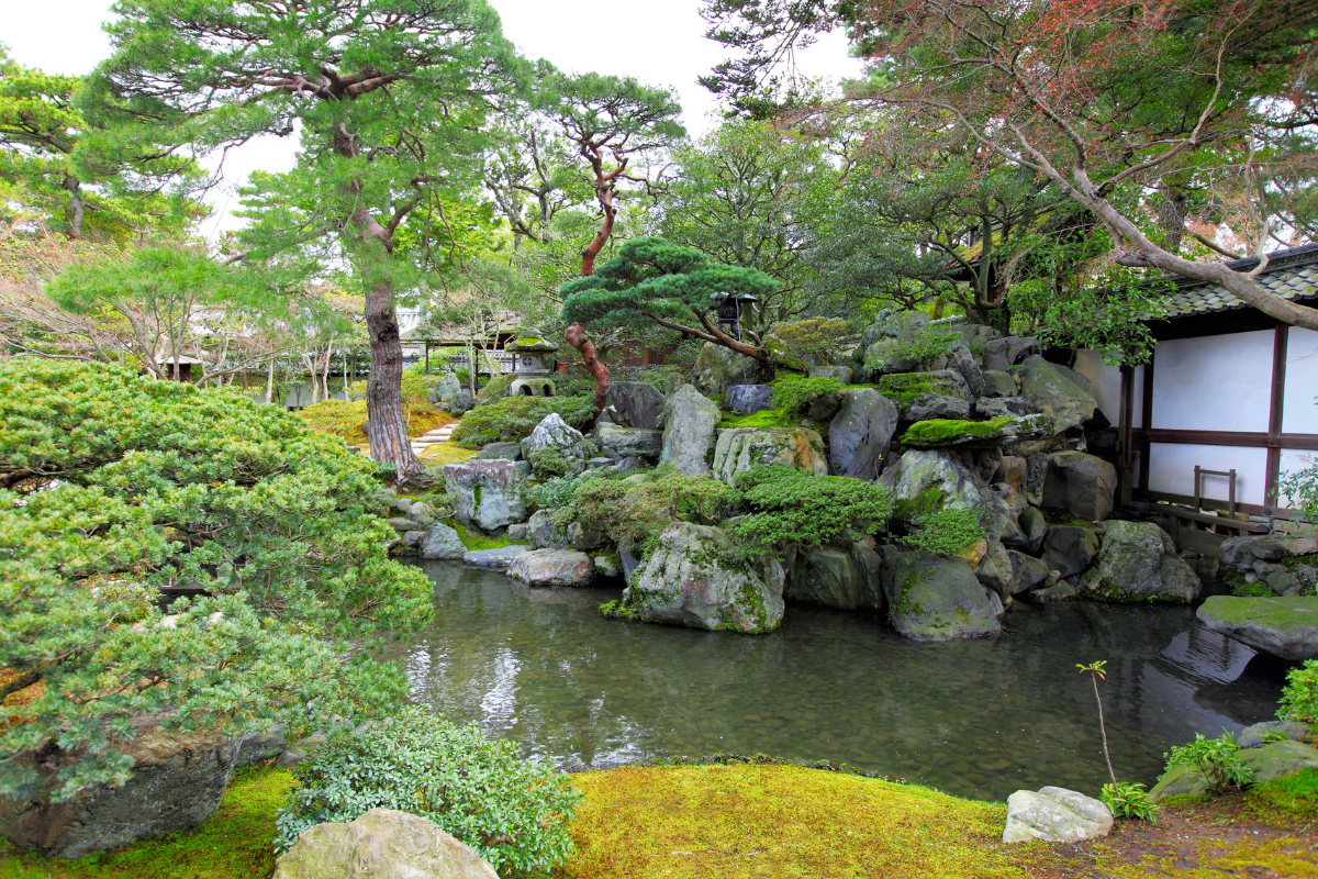Jak stworzyć ogród w stylu japońskim?